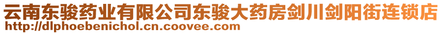 云南東駿藥業(yè)有限公司東駿大藥房劍川劍陽街連鎖店