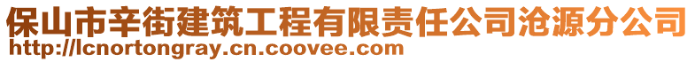 保山市辛街建筑工程有限責(zé)任公司滄源分公司