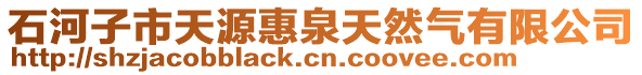 石河子市天源惠泉天然氣有限公司