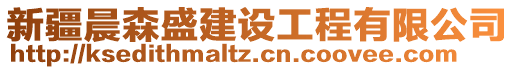 新疆晨森盛建設工程有限公司