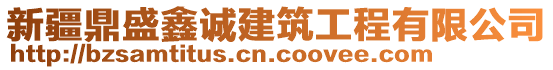 新疆鼎盛鑫誠建筑工程有限公司