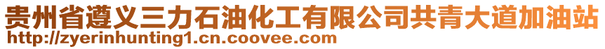 貴州省遵義三力石油化工有限公司共青大道加油站