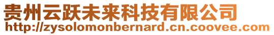 貴州云躍未來科技有限公司