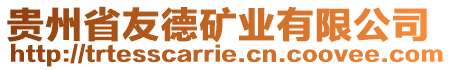 貴州省友德礦業有限公司