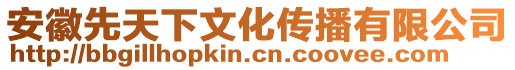 安徽先天下文化傳播有限公司