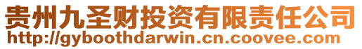 貴州九圣財投資有限責任公司