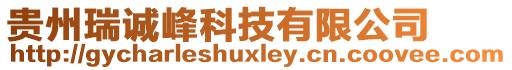 貴州瑞誠峰科技有限公司