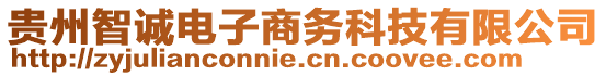 貴州智誠電子商務科技有限公司