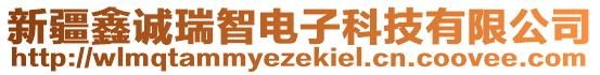 新疆鑫誠(chéng)瑞智電子科技有限公司