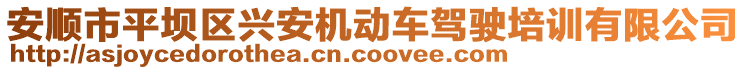 安順市平壩區(qū)興安機動車駕駛培訓(xùn)有限公司