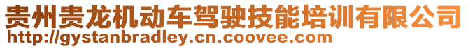 貴州貴龍機動車駕駛技能培訓(xùn)有限公司