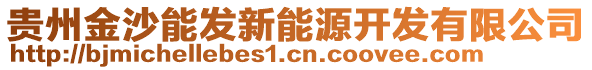 貴州金沙能發新能源開發有限公司