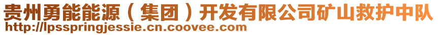 貴州勇能能源（集團）開發(fā)有限公司礦山救護中隊