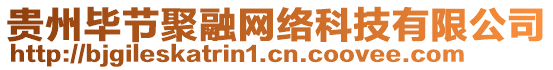 貴州畢節(jié)聚融網(wǎng)絡(luò)科技有限公司