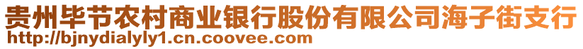 貴州畢節(jié)農(nóng)村商業(yè)銀行股份有限公司海子街支行