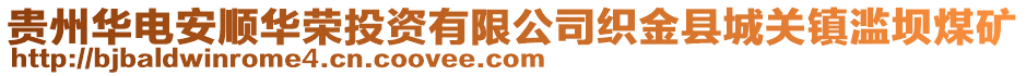 貴州華電安順華榮投資有限公司織金縣城關(guān)鎮(zhèn)濫壩煤礦