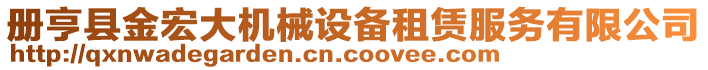 冊亨縣金宏大機械設備租賃服務有限公司