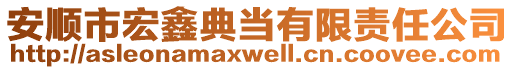 安順市宏鑫典當(dāng)有限責(zé)任公司