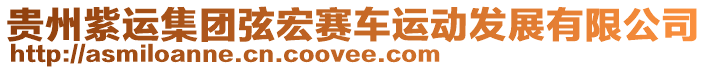 貴州紫運(yùn)集團(tuán)弦宏賽車(chē)運(yùn)動(dòng)發(fā)展有限公司