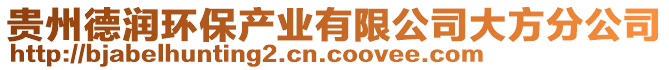 貴州德潤環(huán)保產(chǎn)業(yè)有限公司大方分公司