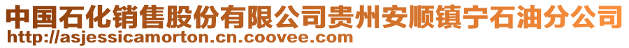 中國(guó)石化銷售股份有限公司貴州安順鎮(zhèn)寧石油分公司