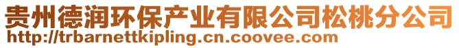 貴州德潤環(huán)保產(chǎn)業(yè)有限公司松桃分公司