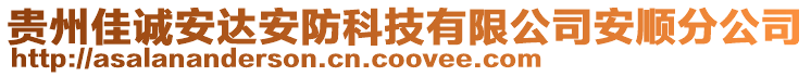 貴州佳誠安達(dá)安防科技有限公司安順分公司