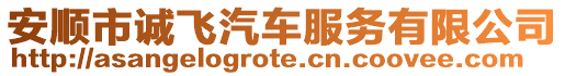 安順市誠飛汽車服務(wù)有限公司