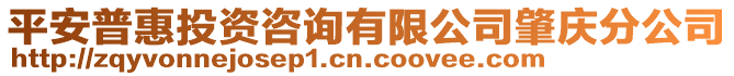 平安普惠投資咨詢有限公司肇慶分公司