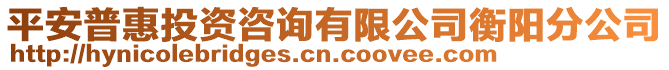 平安普惠投資咨詢有限公司衡陽分公司