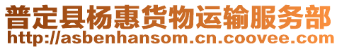 普定縣楊惠貨物運輸服務部