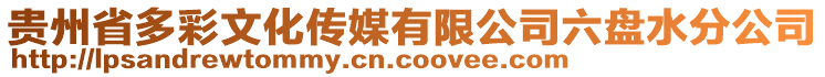 貴州省多彩文化傳媒有限公司六盤水分公司