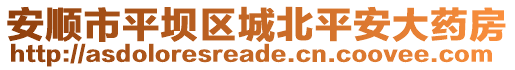 安順市平壩區(qū)城北平安大藥房