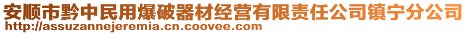 安順市黔中民用爆破器材經(jīng)營有限責(zé)任公司鎮(zhèn)寧分公司