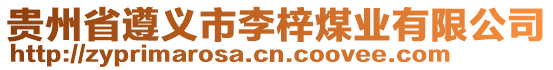 貴州省遵義市李梓煤業(yè)有限公司