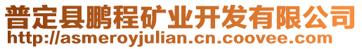 普定縣鵬程礦業(yè)開發(fā)有限公司