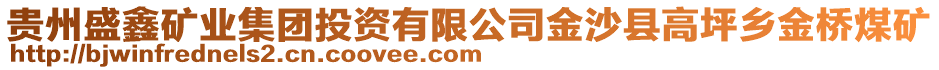 貴州盛鑫礦業集團投資有限公司金沙縣高坪鄉金橋煤礦