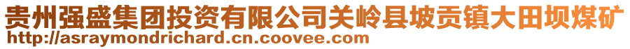 貴州強(qiáng)盛集團(tuán)投資有限公司關(guān)嶺縣坡貢鎮(zhèn)大田壩煤礦