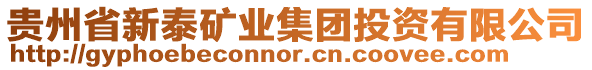 貴州省新泰礦業(yè)集團投資有限公司