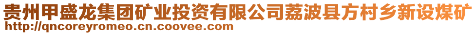 貴州甲盛龍集團(tuán)礦業(yè)投資有限公司荔波縣方村鄉(xiāng)新設(shè)煤礦