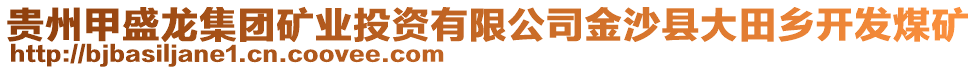 貴州甲盛龍集團礦業(yè)投資有限公司金沙縣大田鄉(xiāng)開發(fā)煤礦