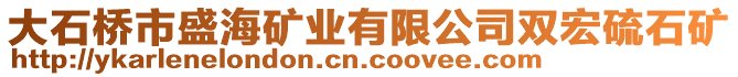 大石橋市盛海礦業(yè)有限公司雙宏硫石礦