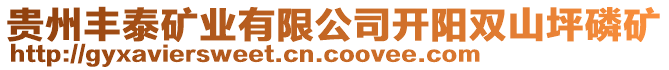 貴州豐泰礦業有限公司開陽雙山坪磷礦