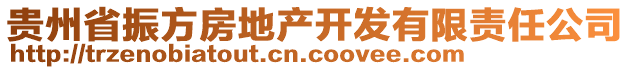 貴州省振方房地產(chǎn)開發(fā)有限責(zé)任公司