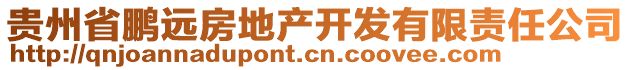 貴州省鵬遠(yuǎn)房地產(chǎn)開發(fā)有限責(zé)任公司