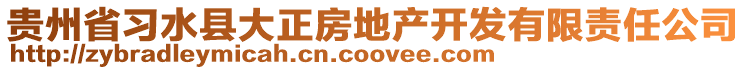 貴州省習(xí)水縣大正房地產(chǎn)開發(fā)有限責(zé)任公司