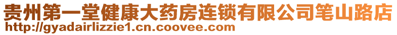 貴州第一堂健康大藥房連鎖有限公司筆山路店