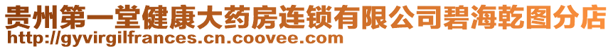 貴州第一堂健康大藥房連鎖有限公司碧海乾圖分店