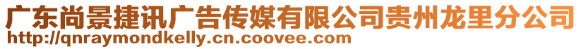 廣東尚景捷訊廣告?zhèn)髅接邢薰举F州龍里分公司