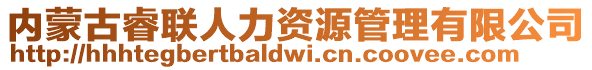 內(nèi)蒙古睿聯(lián)人力資源管理有限公司